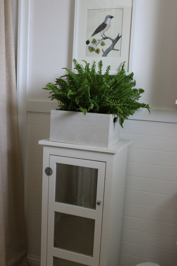 I sprayed this little cabinet s glass doors with Krylon s Looking Glass to give it an antique mirrored finish (and hide toilet paper rolls and cat food to be honest!) I sprayed this little cabinet s glass doors with Krylon s Looking Glass to give it an antique mirrored finish (and hide toilet paper rolls and cat food to be honest!)