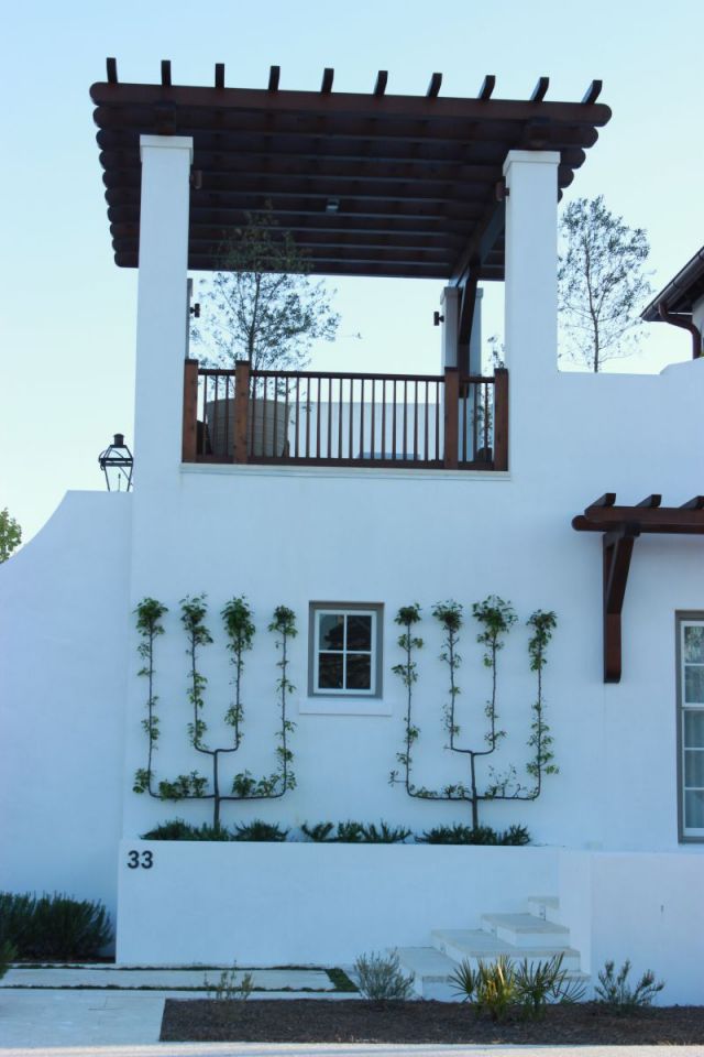 Alys Beach - look at that beautiful vine against the white smooth wall.