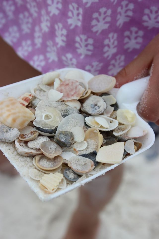 Seashell hunting always keeps us occupied. That shirt is from (last year) Rickshaw Designs if you are wondering. :)