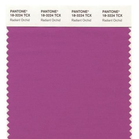 Pantone Color of the Year-Radiant Orchid...radiant indeed.